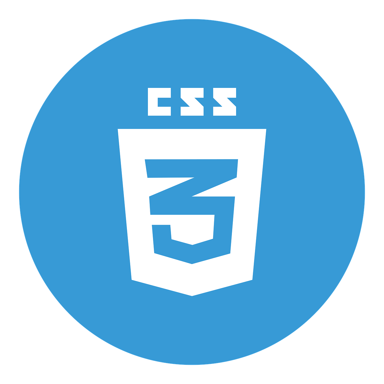 css3.webp