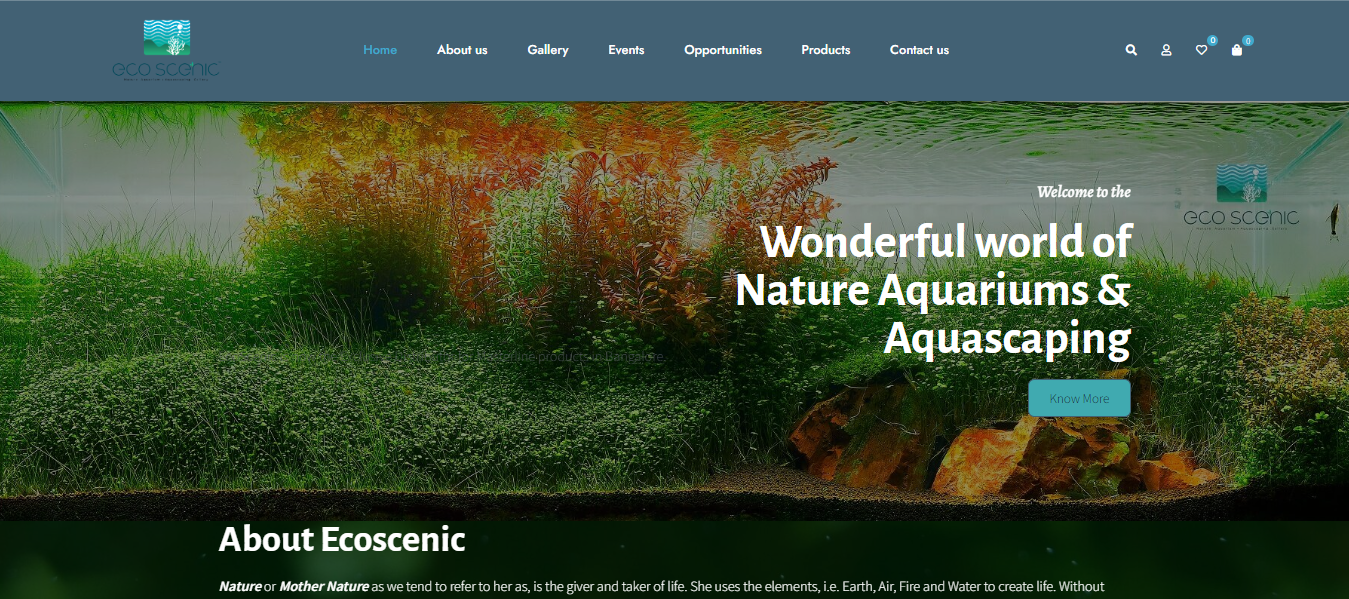 Ecoscenic-–-Nature-Aquarium-–-Aquascaping-Gallery